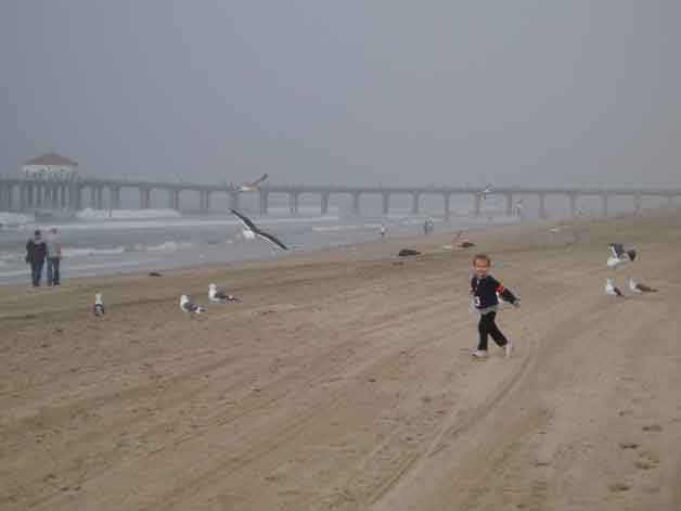 Manhattan Beach Photograph